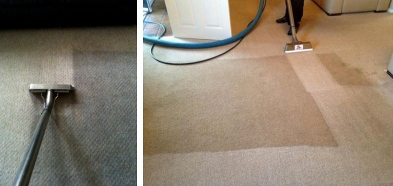 Domestic Carpet Cleaning Montage-002